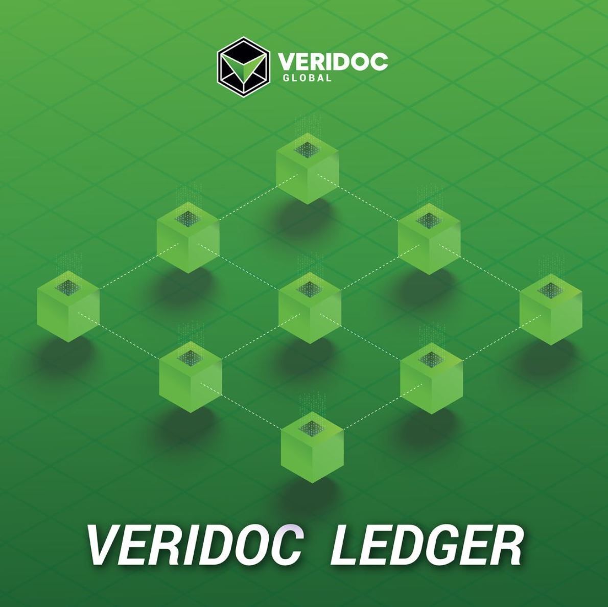 VeriDocGlobal tweet media