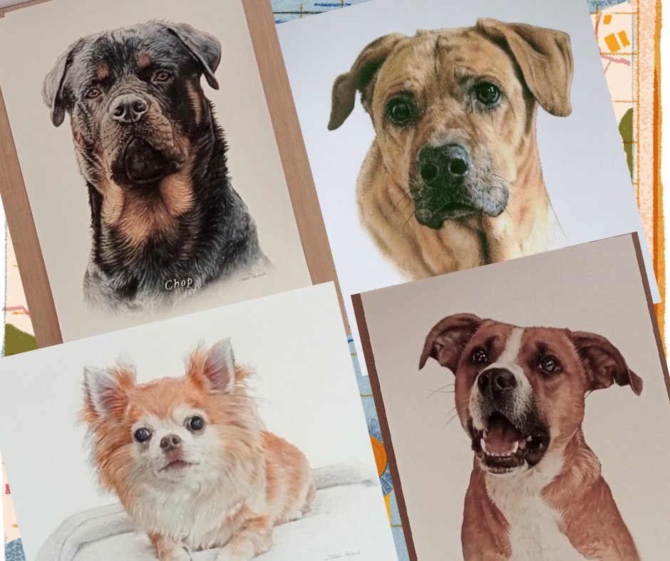 Steven Howard Gallery tweet media