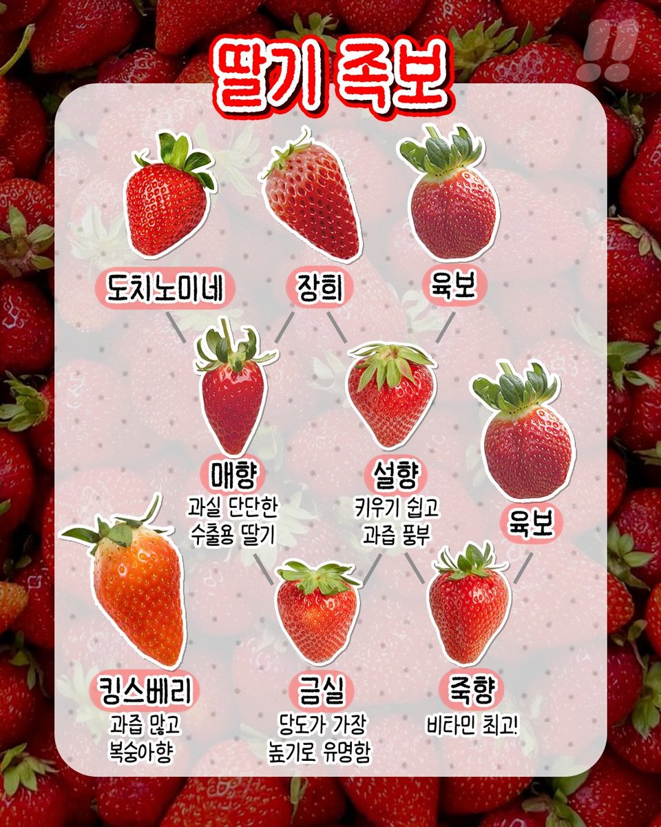 맛도리 레시피 tweet media