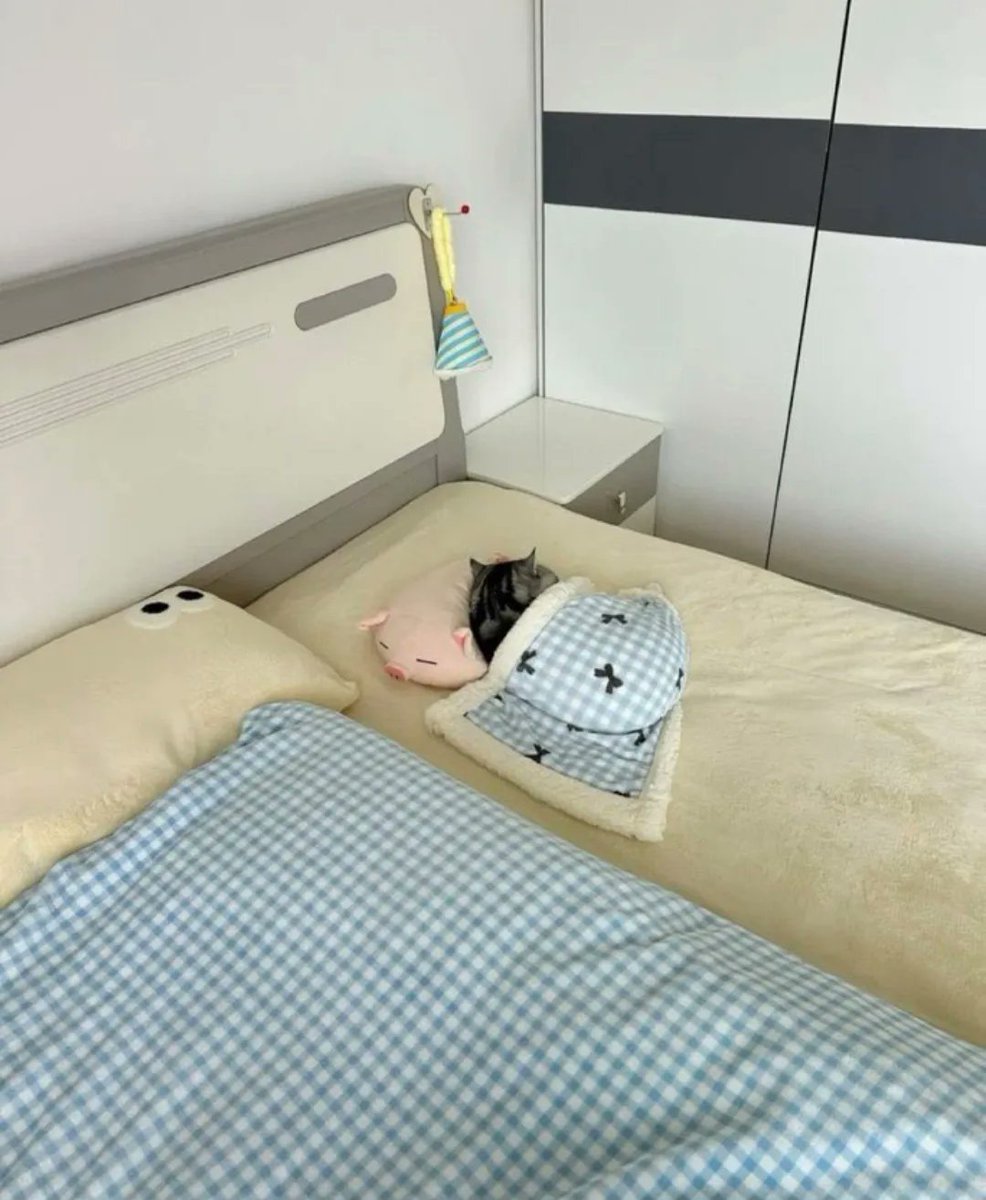 엄마한테 고양이 잘지내냐고 메시지 보내니