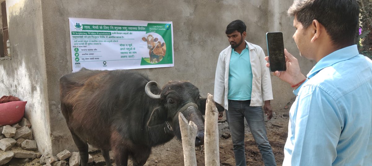 WWishesInd's tweet photo. Animal Health Camp, Chandauli | 31 Jan
As part of its One Health approach that integrates animal health, human health, and environmental well-being, Whispering Wishes Foundation organized camp that provided virtual consultations &amp; more.
#AnimalHealth #Health #NGO #CSR #HealthCamp https://t.co/x3Iga21Czb