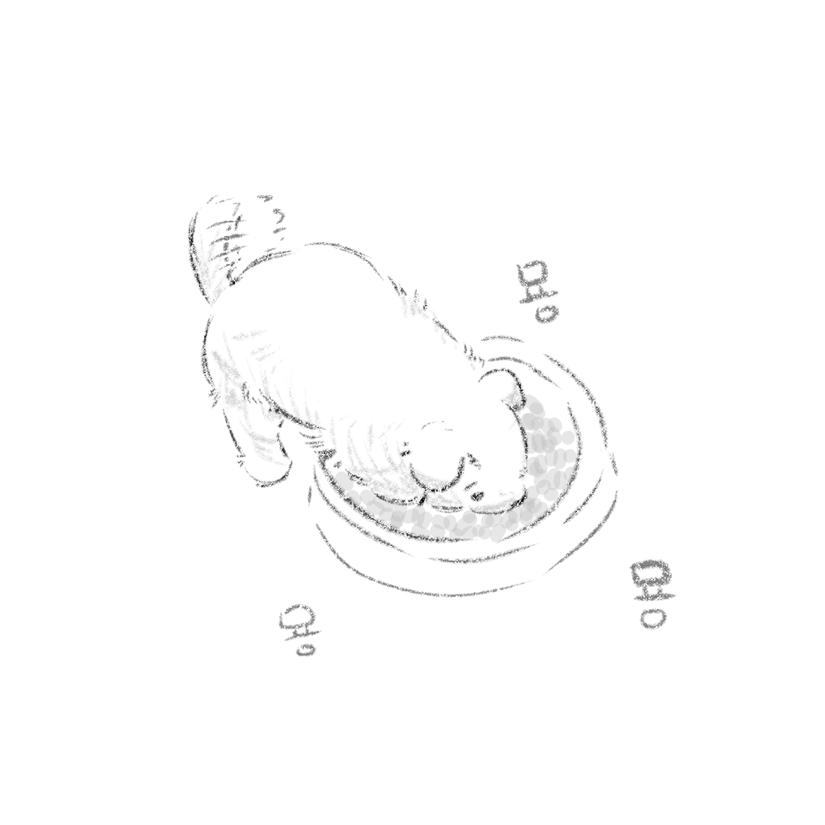 D4 | 심콜 (선입금ing🔥) tweet media