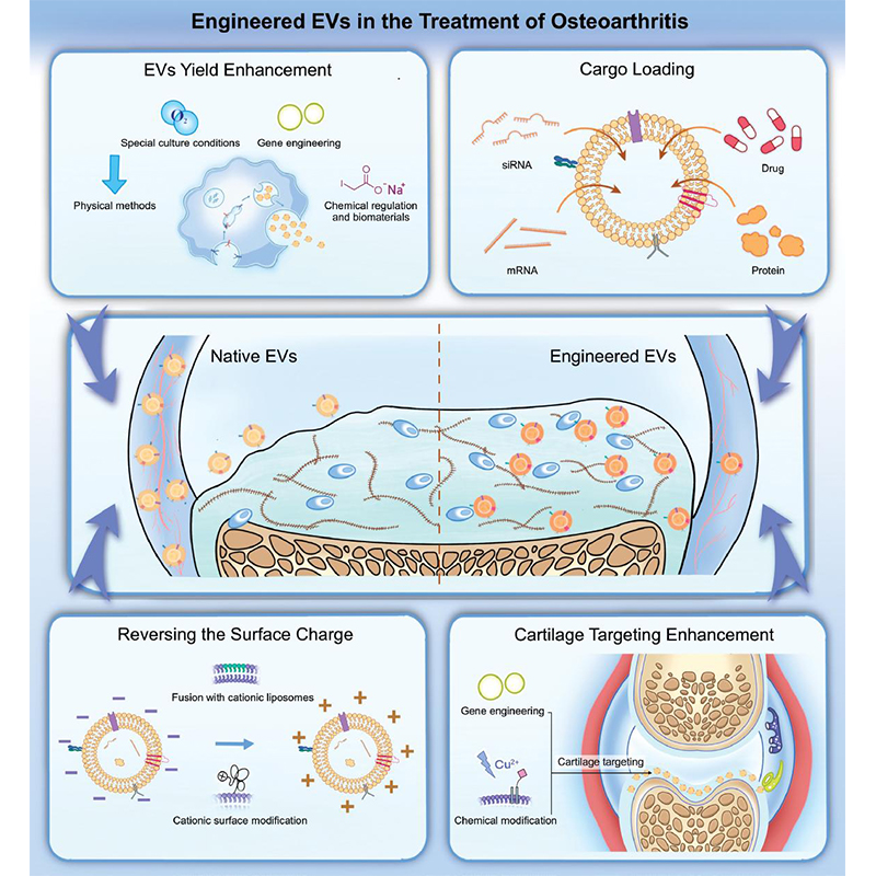 BIOIntegration tweet media