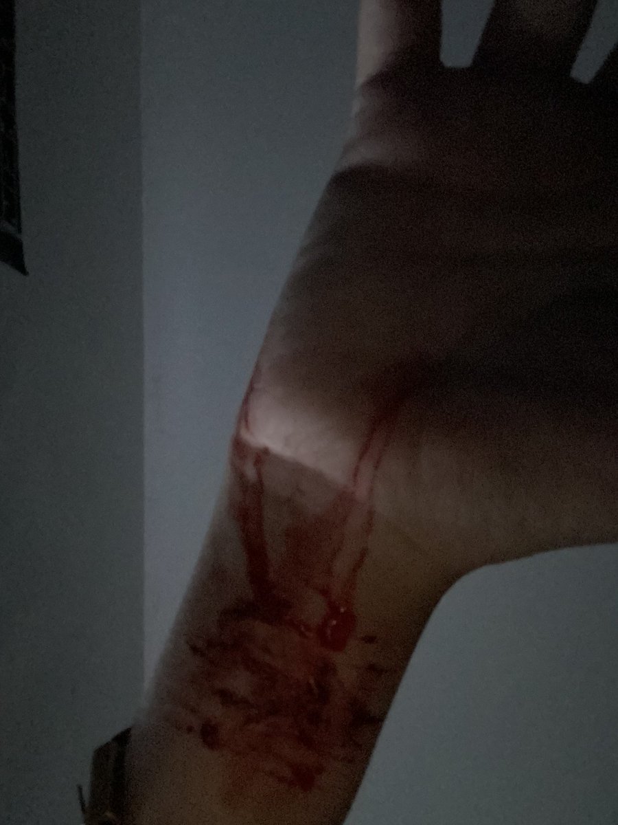 cutcvnt's tweet photo. Bloodsport #shtwt https://t.co/nJgF2wNA4f