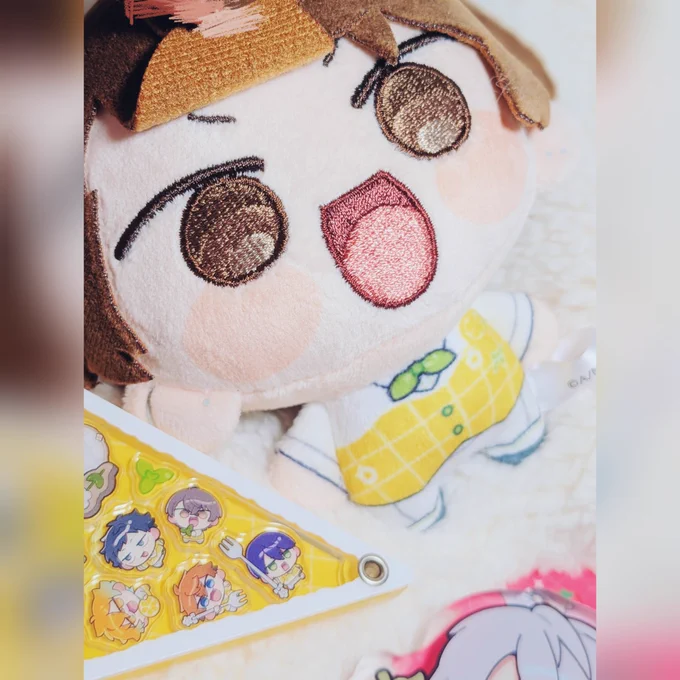 ヘッドスパでめちゃくちゃリフレッシュしたのでルンルンで帰宅したらお家にミントの妖精さんがいるッ 来てもらったからには一旦社長のまゆげをね…