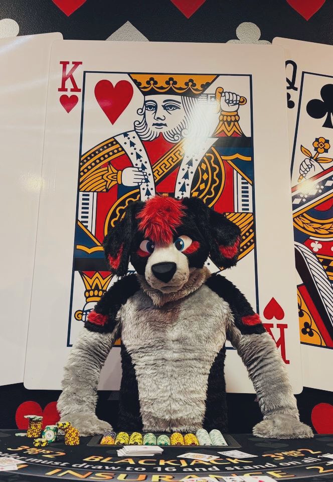 FlopDog 🐶❤️🐶 tweet media