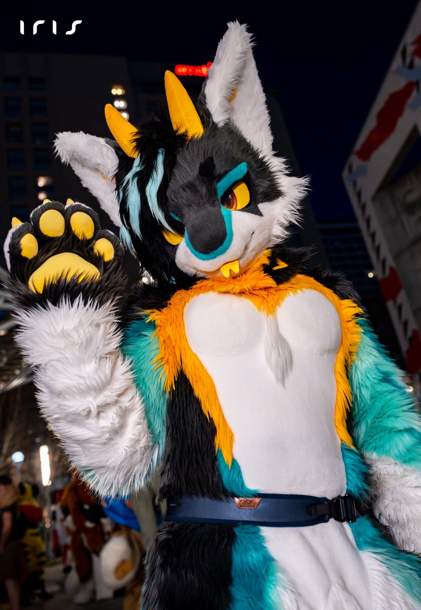 🦊 Iris 🦊 @ FE tweet media