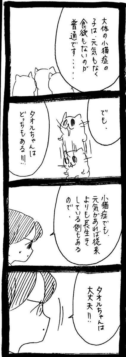 うさぎのみみちゃん😇12/31冬コミ西つ03a (@usagitoseino) / Posts / X