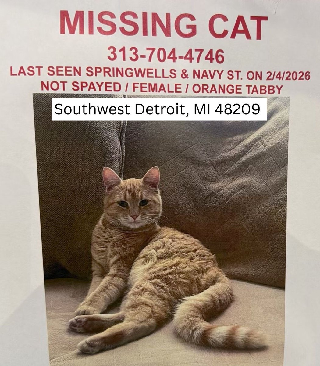 All About Animals tweet media