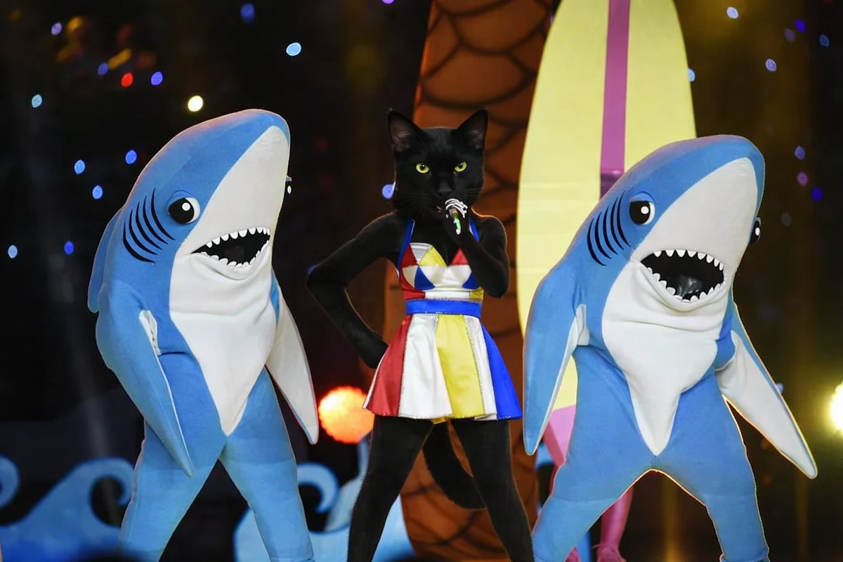 kittehboi's tweet photo. #nipclub Please follow my DJ account, @kittehdaboi.
#newprofilepic #LEFTSHARK https://t.co/G4KeJhA8yX