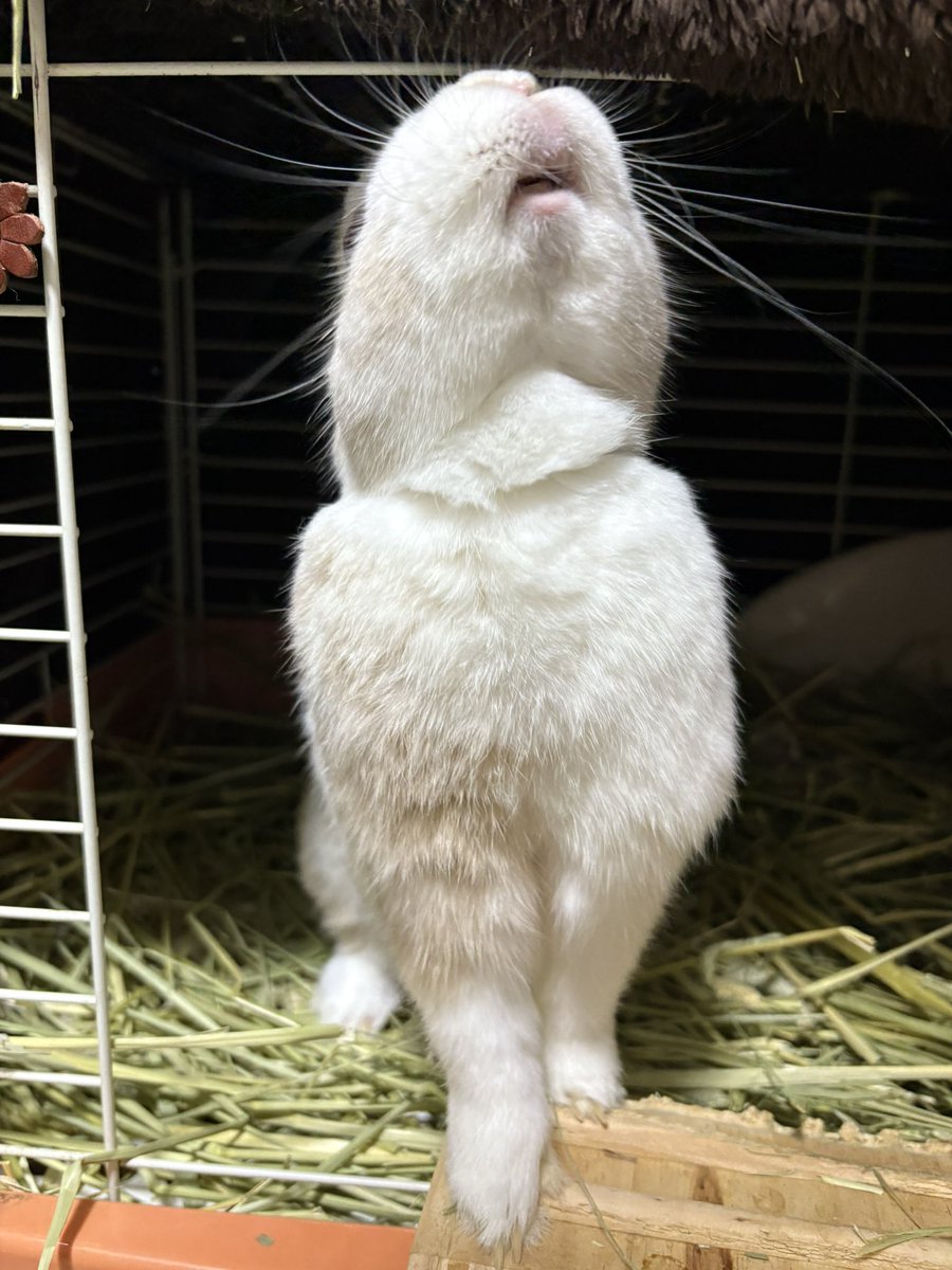 みzoo (@zoo69712356) / Posts / X