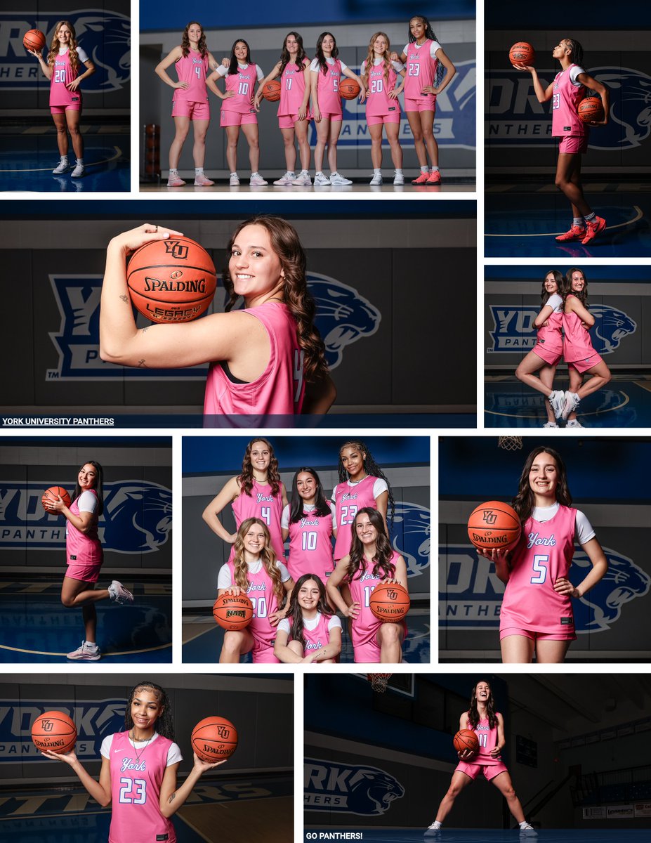 York University WBB tweet media