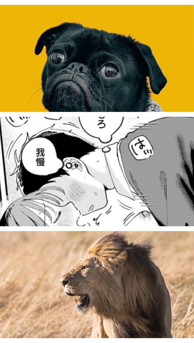 しゃーまん　脱サラ計画中の子育てパパ💼👶 tweet media