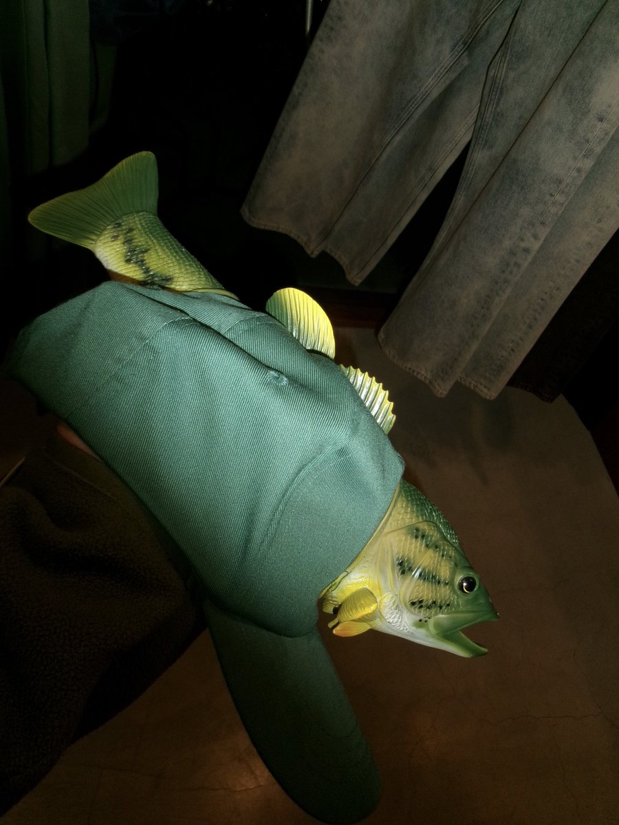 バイ穴 (@bahi_fp) on Twitter photo 