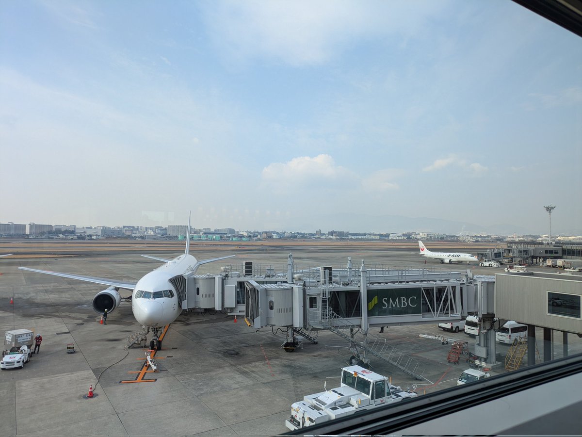 にゃんず tweet media