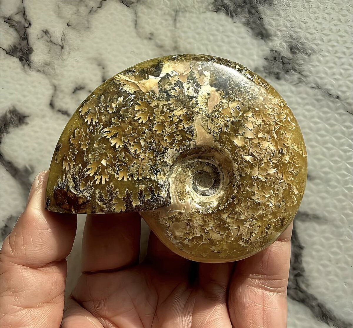 マダマダマダガスカル (@xkpSNxcigsIRTGZ) / Posts / X