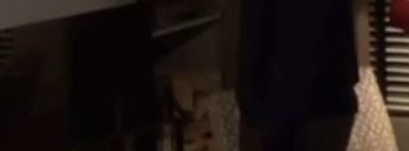 Dwight’s World tweet media