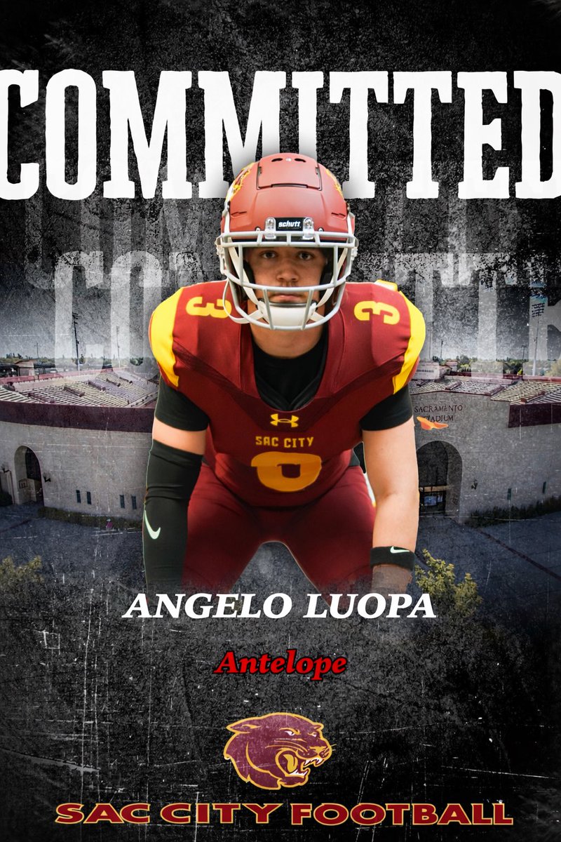 Angelo Luopa tweet media