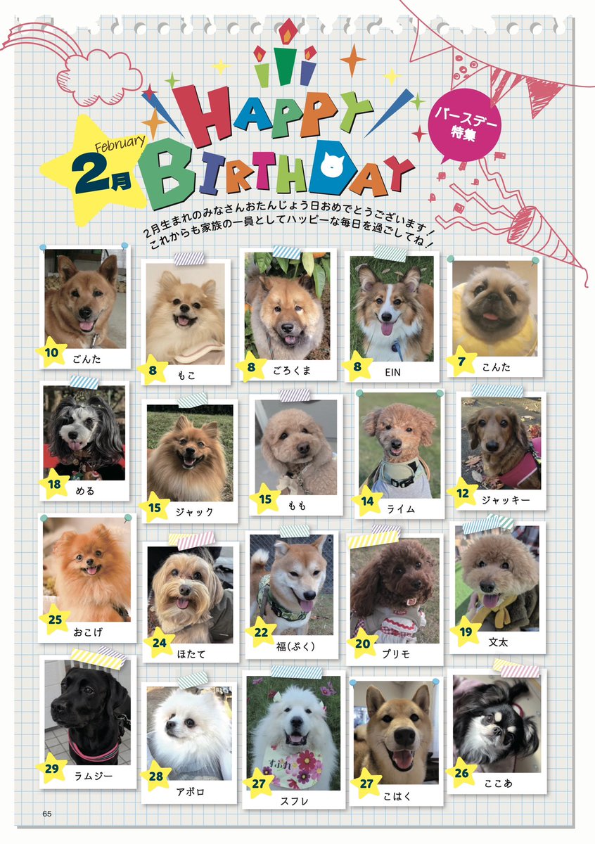 2月生まれのワンちゃん達🎂】 お誕生日おめでとうございます