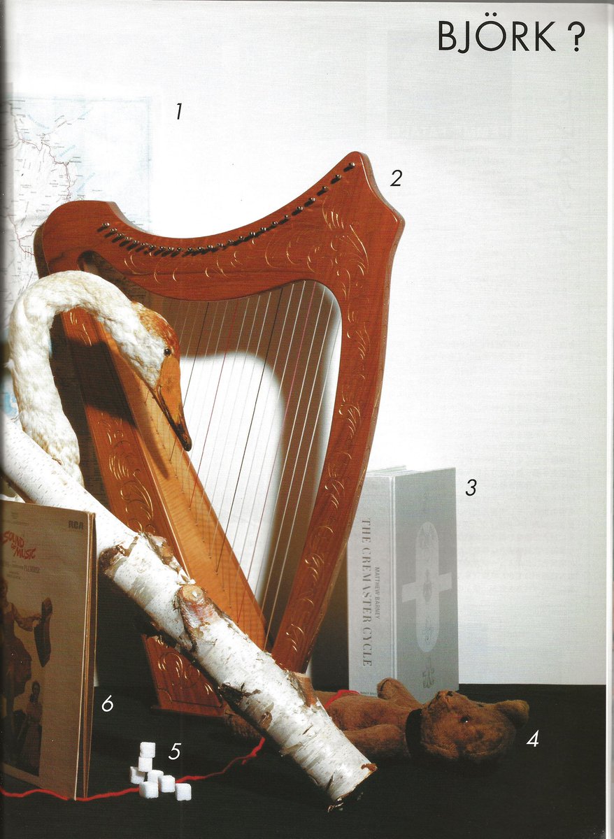 Bjork Hiroya Kitai photographed