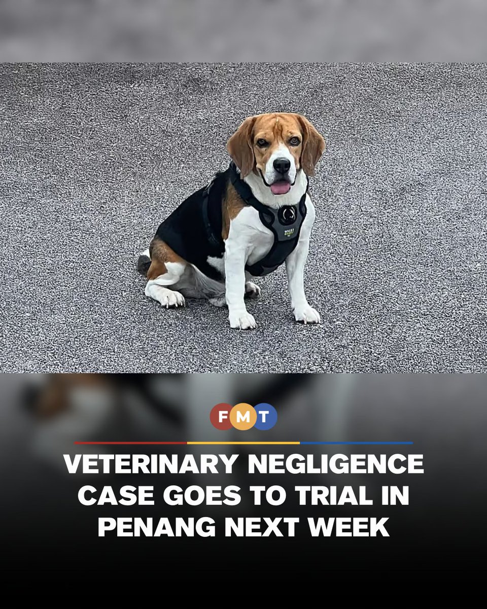 fmtoday's tweet photo. #FMTNews Housewife R Viknesvary is suing two veterinarians, a veterinary hospital in Penang and another company for the death of her pet dog three years ago.  

Full Article: https://t.co/W5CDXlwEUg https://t.co/KcKKyLT4t6