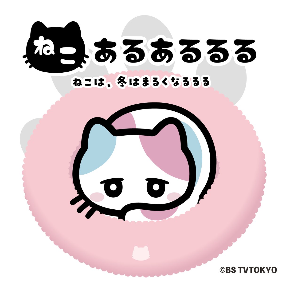 bscat7ch's tweet photo. #ねこあるあるるる

ねこは、冬はまるくなるるる🐈
あなたもるるると一緒にまるくなるるる〜✨

#びーえするるる
#ＢＳテレ東
#BSテレ東 https://t.co/MAgBOjg2We