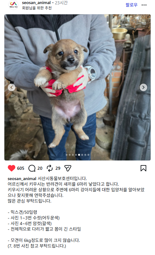 아니 이 착순이 봐🥹