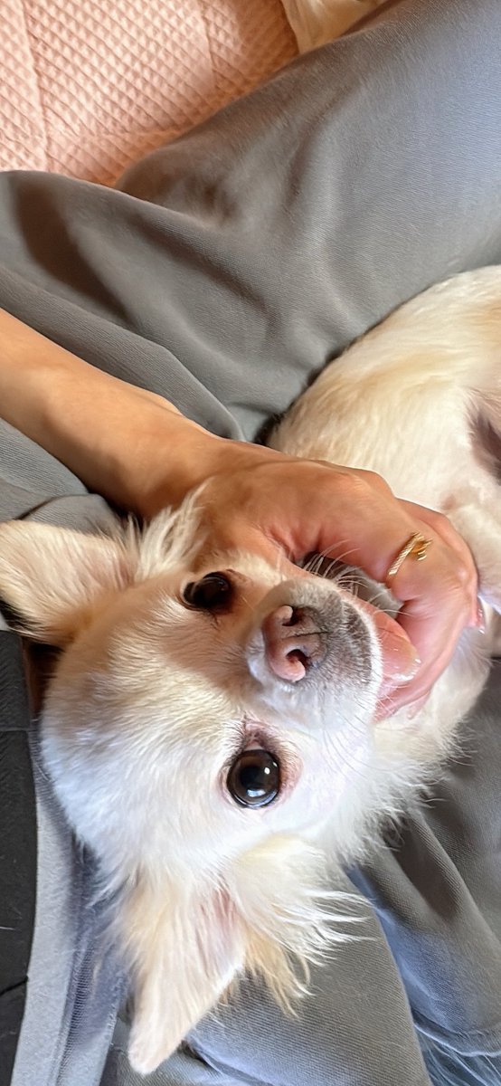 🦄あやんちゃん🌈 (@31164Aj) / Posts / X