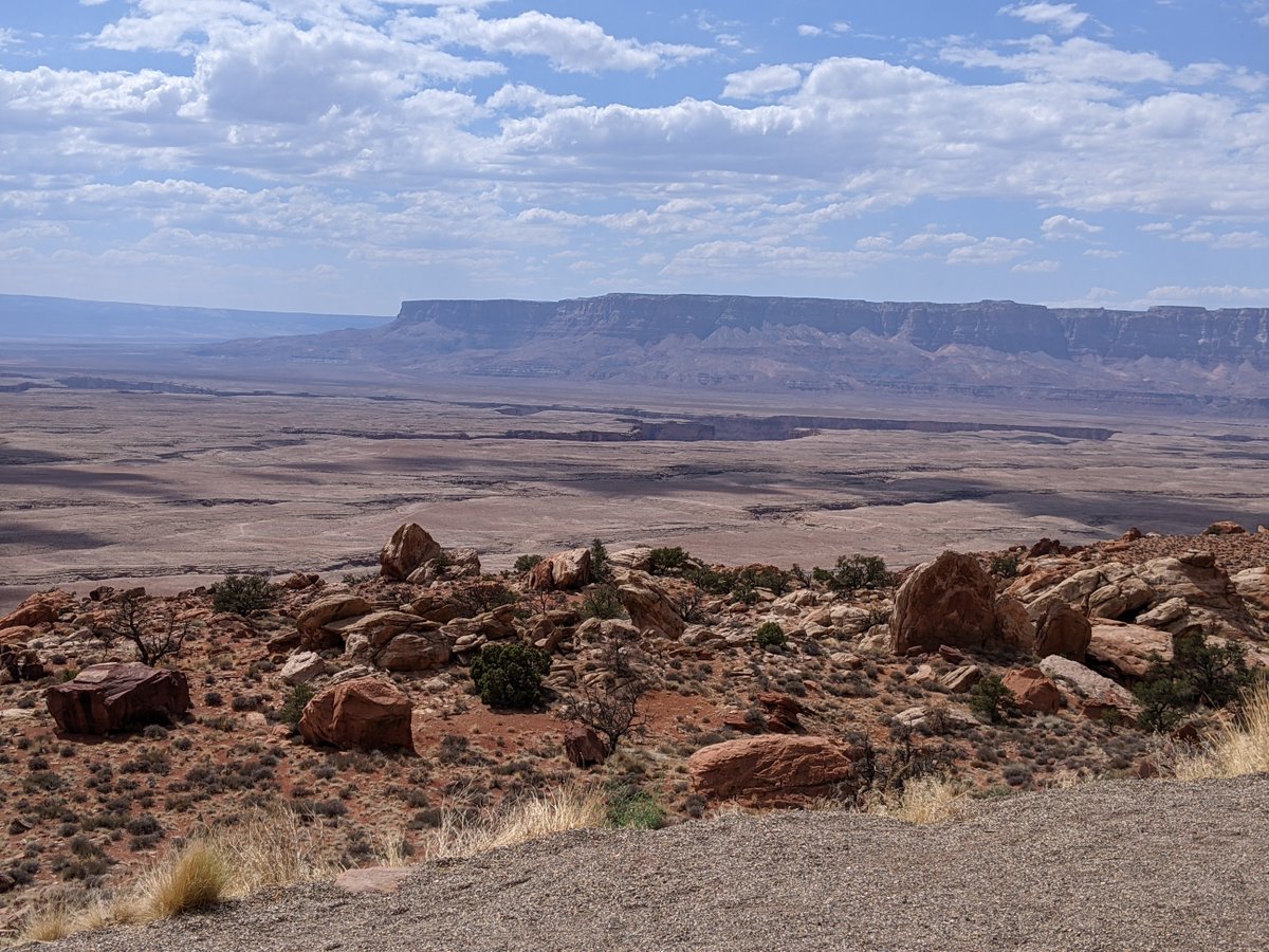 Dan Holiday tweet media