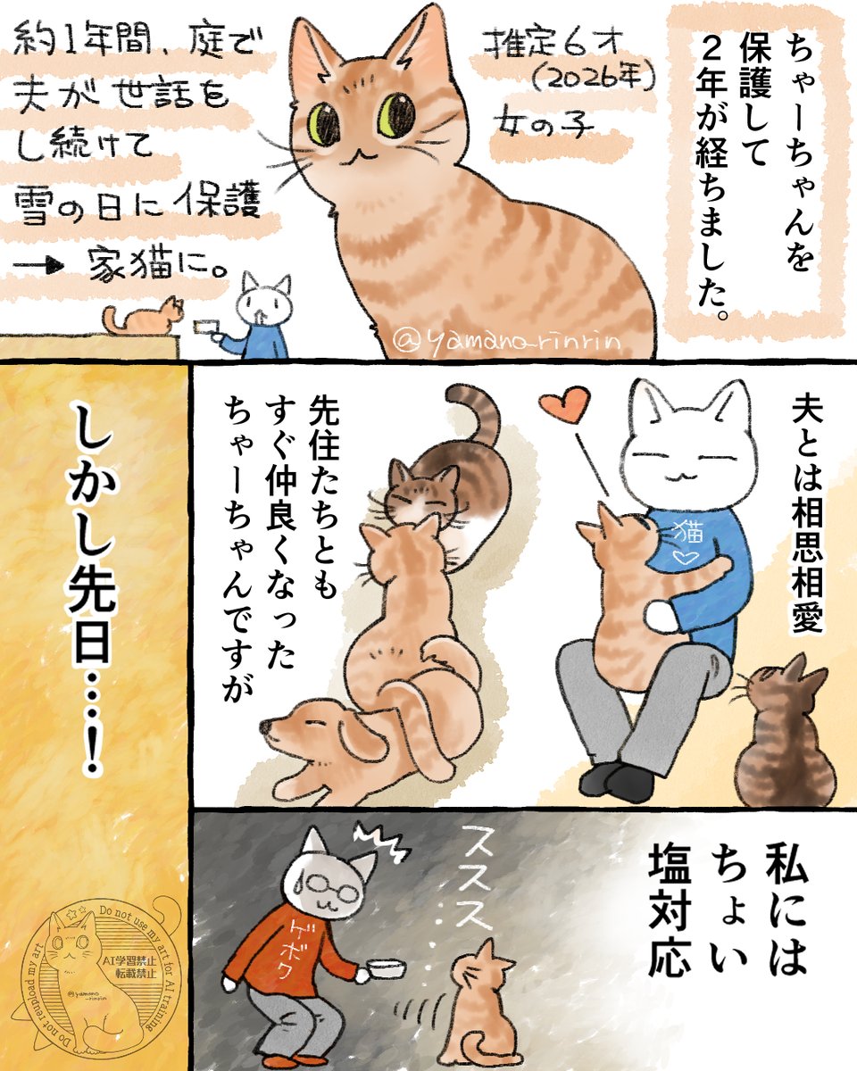 #今日の山野絵 
#猫エッセイ
【ただの】ちゃーちゃんを保護して
2年が経ちました。【自慢】
今日は2枚です🐈🐈 