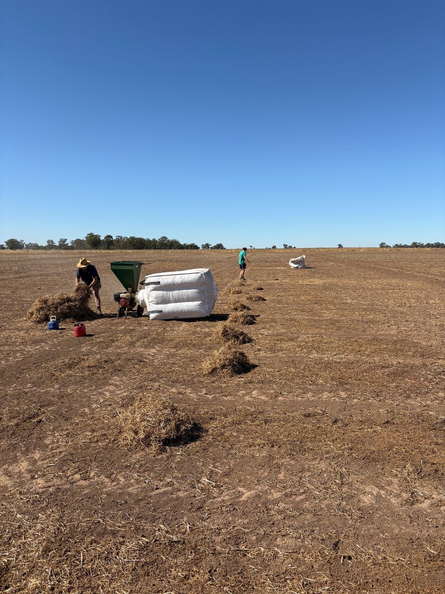 FAR Australia tweet media