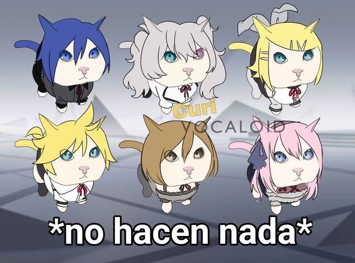 Quiénes son estas personas?😹