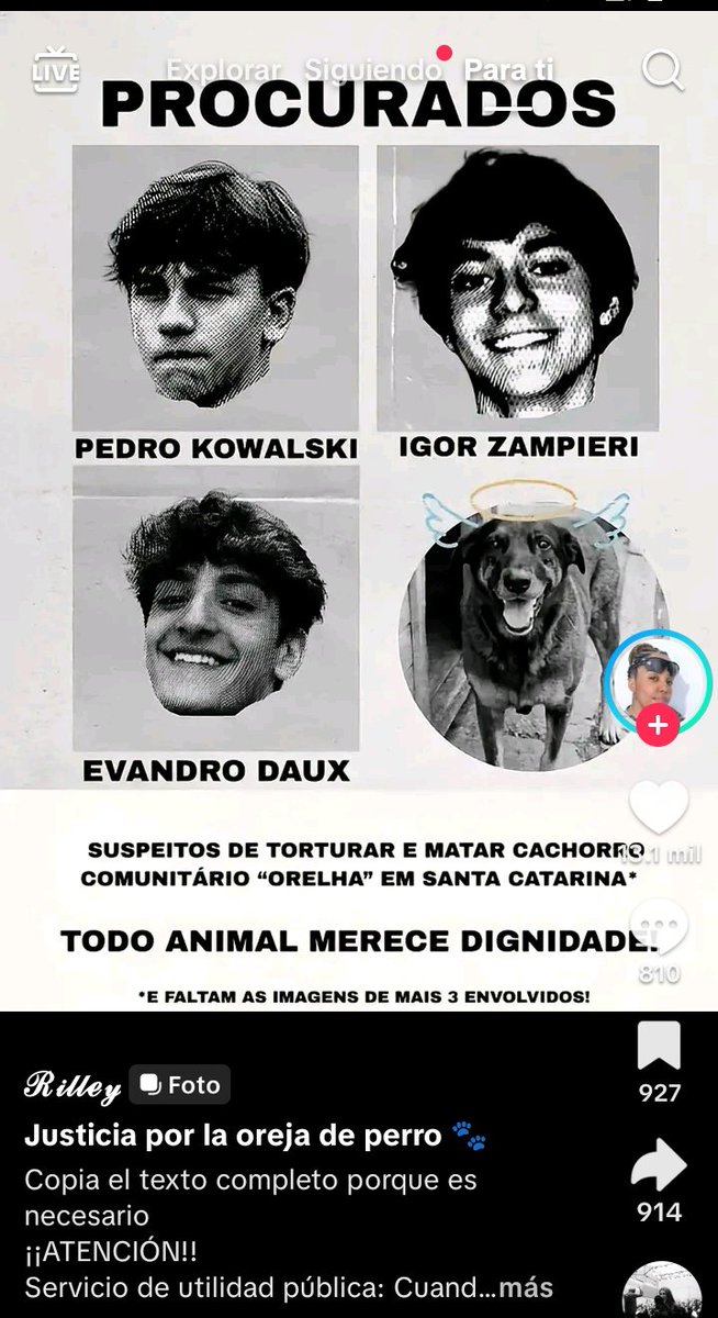 Supieron lo q sucedió en Brasil ,la historia de Oreja un perrito Comunitario q vivio durante 10 años tranquilo feliz cuidado por los vecinos,hasta q unos pendejos culiaos lo asesinaron de una forma realmente despiadada y cómo son hijos de ricos no les pasa nada