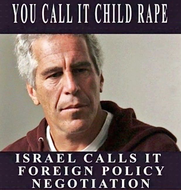 Steven D. Cook tweet media