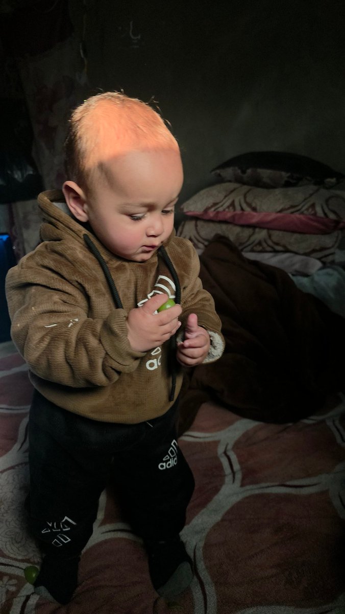 Mahmoud|مًحًمًوٌدٍ 🇵🇸🕊 tweet media