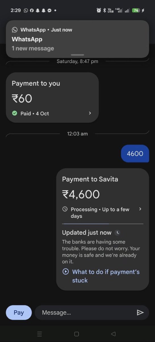 hannah_jaworski's tweet image. Is anyone experiencing withdrawal issues on #Bitbns #WazirXIndia #cryptoindia #kotakbank