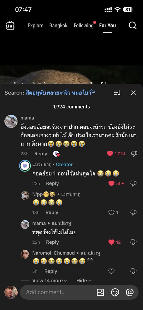 whiteandwhales's tweet photo. ของอย่างสุดท้ายที่น้องกอดได้คืออ้อยที่น้องเคี้ยวอยู่อะ น้องตัองกลัวแค่ไหน อ้อยอันเล็กๆนิดเดียวที่น้องกอดจนนาทีสุดท้ายอะ ทั้งชีวิตไม่เคยมีความปลอดภัย ไม่มีที่ๆเป็นอิสระจริงๆสำหรับน้องเลย กูตื่นมาร้องไห้ต่ออีกเป็นวันที่ 3 หลังจากเจอข้อความนี้ https://t.co/n53ZJHGB9O