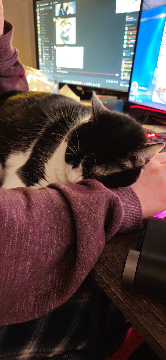 FarkieBear's tweet photo. My husband is going through chemotherapy in a few weeks.

He's really stressed about it but I think some kind and encouraging messages would cheer him up
If anyone wants to send an anonymous message, feel free to here!! 

https://t.co/Tp3s6ULwCq https://t.co/egWVvHg5Wu