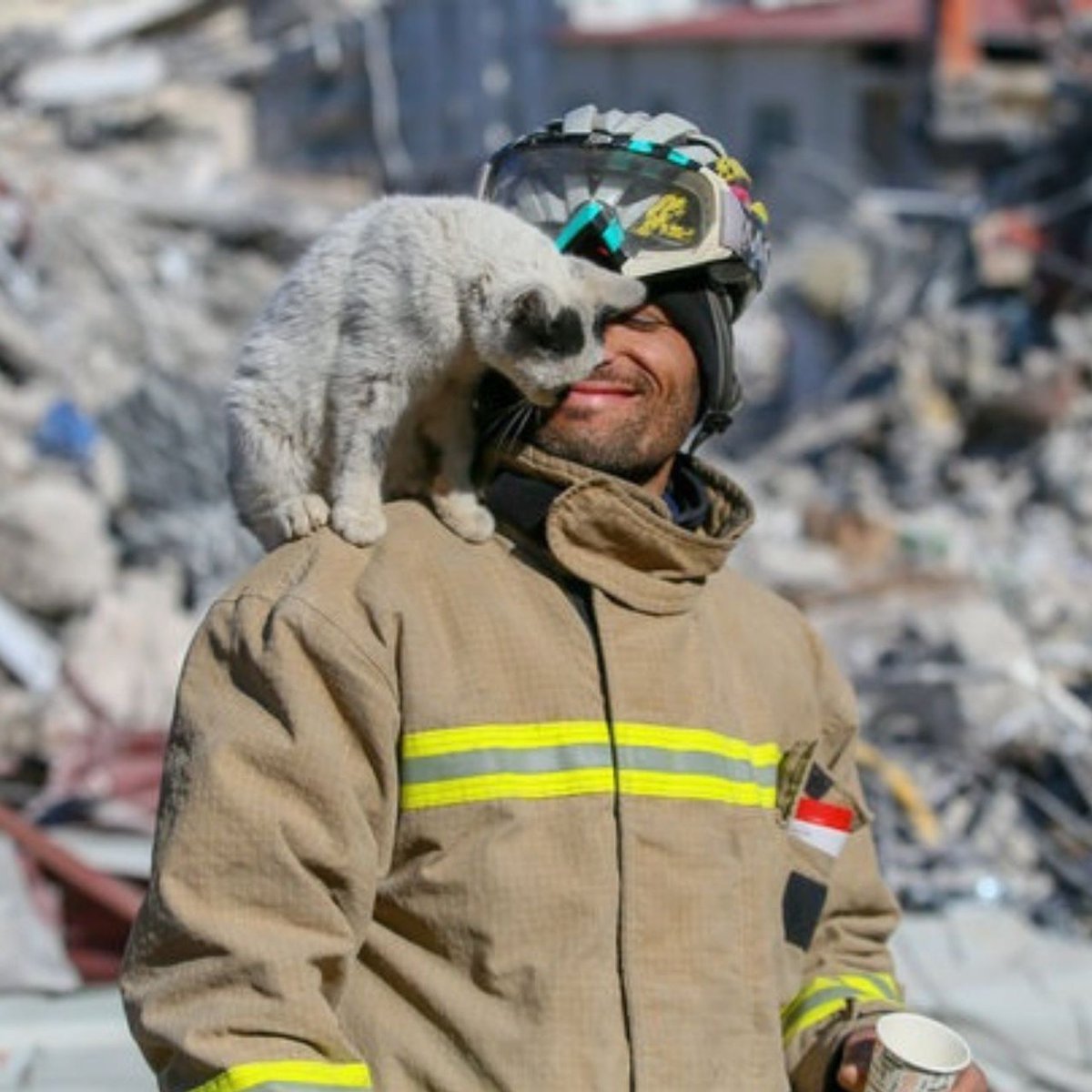 Daily Turkic tweet media