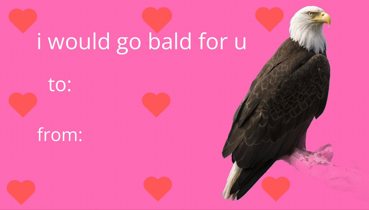 Eagle (@eagleincrisis) / Posts / X