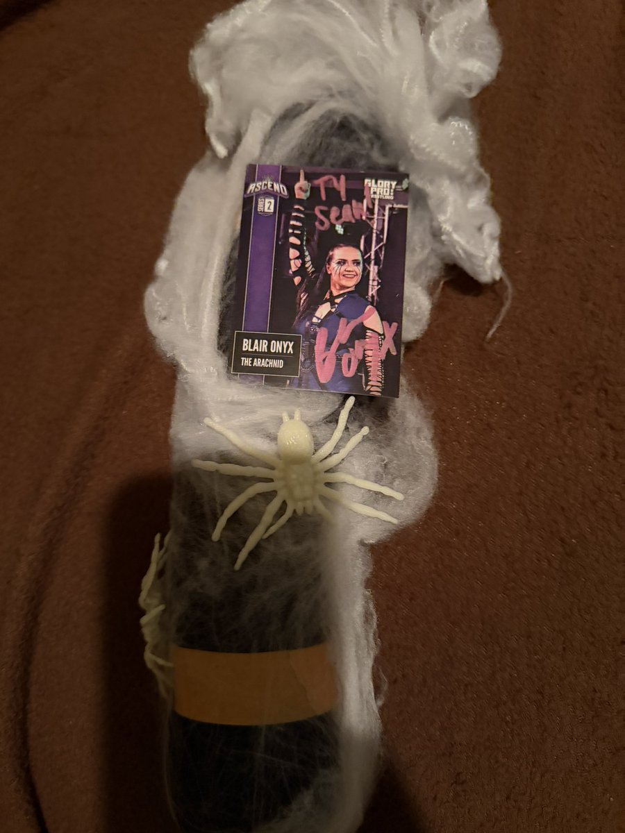 TotalSmarkSean's tweet photo. My shirt from @blairxyno came in the coolest packaging!  She definitely went above and beyond!!! https://t.co/LUmSqwmAnd