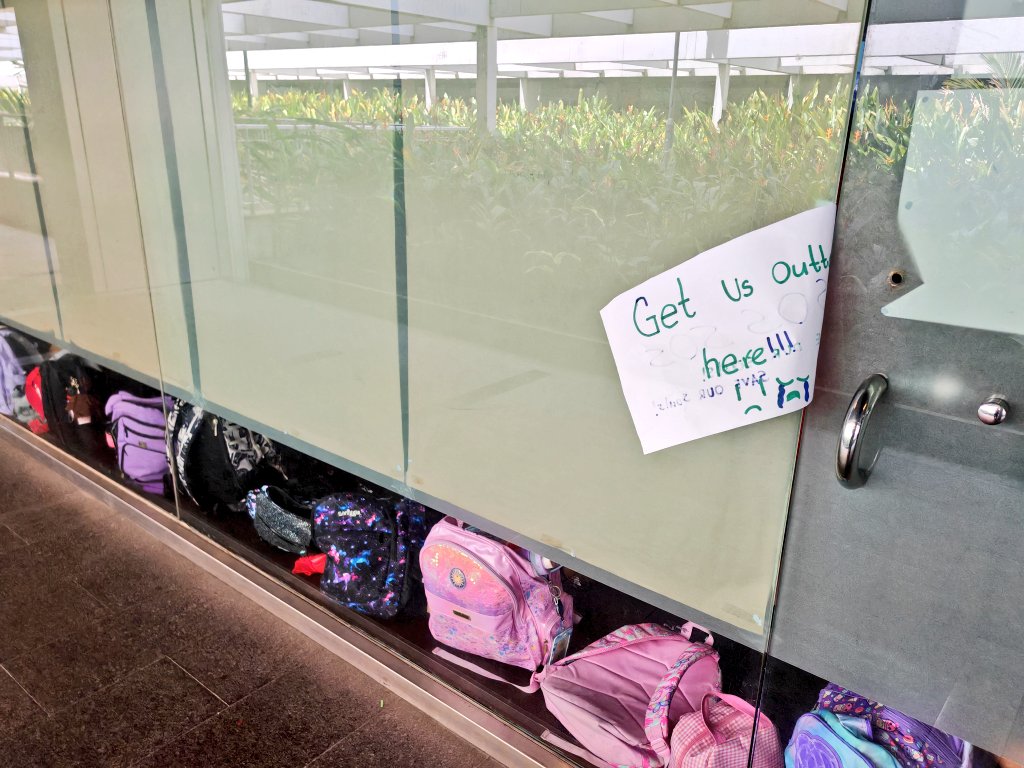 Gyro Wolf tweet media