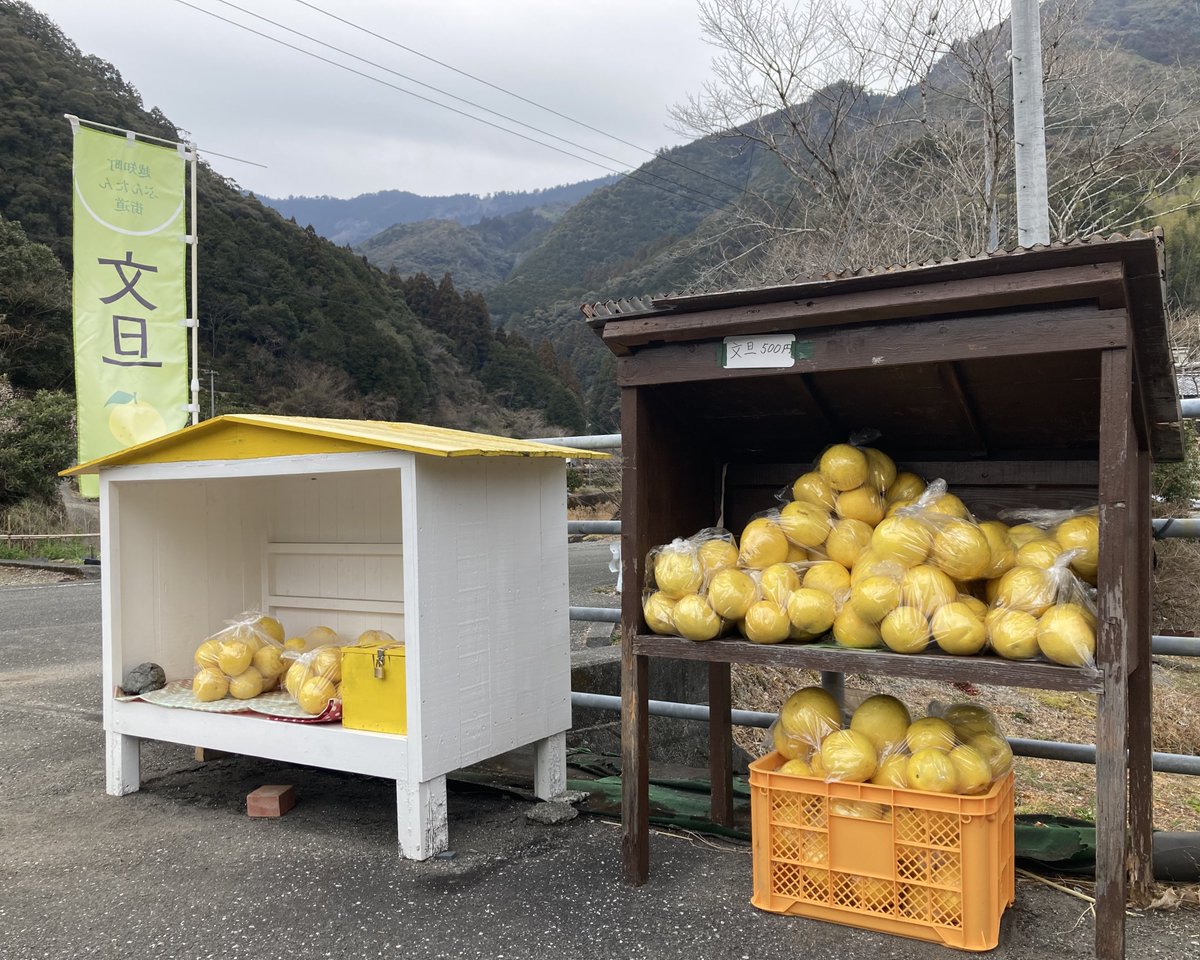 みかんノート (@mikanflavor1) / Posts / X