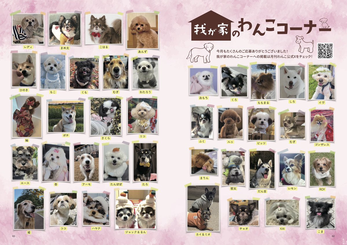 gekkan_wanko's tweet photo. 【当選者発表】
こちらの写真は月刊わんこvol.27（2/15発売）我が家のわんこコーナーに掲載されています👏🐶㊗️※掲載されていたらリポストをお願いします！

オフィシャルサイトにて先行販売中！
https://t.co/ZOKwQ8i1KR

※当選発表は画像をご確認ください📖

@shiba_hakupapa
@renmen1029
@lU4wglq4h22CrNO
@xYWsDRmcZE9m1g7
@karincho81
@euoni1110
@jack_jack_jac9
@BVoqKknyVol1WuW
@pipi_nov2025
@nuts0423
@momoshepsky_JX
@arano8on
@owarakito
@1chanloveclub
@hachinoie0820
@ayato2
@gon_0301
@d5Vm663bHB979nv
@Aisukechan1
@pooh_momo0418