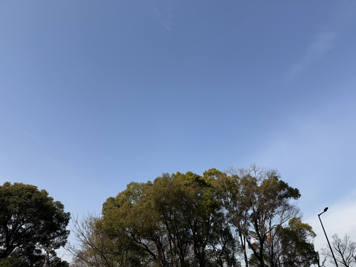おはようございます！

少し気温が高めになって空気中の湿度も高くなっているのか、今朝はやや霞んでいるような白っぽい空になっていました。
風はまだ冷たくて冬の中にいますが、目や鼻は春のアレを感じ始めている人もいるようですね。
季節は巡ります…😆

本日もよろしくお願いします！