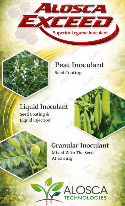 AloscaTech's tweet photo. EXCEED® is one inoculant range with multiple delivery options - peat, granulated peat and liquid - designed to let inoculation strategy match paddock conditions and modern farming systems.
#ALOSCA #legumes #SHOWUSYOURNODS https://t.co/oS2Sj9739a