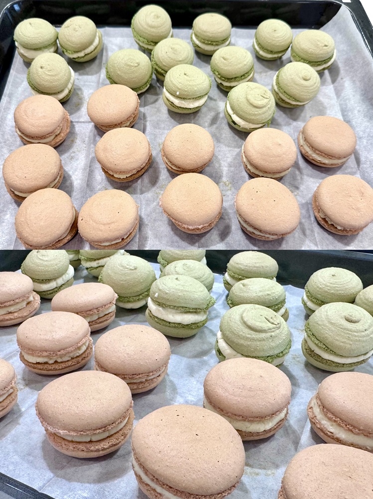 thenetcircle's tweet photo. Fresh from the kitchen and ready to brighten our afternoon.🍴✨
Crispy shredded radish meatballs, seasonal Swiss rolls, plus red velvet and pistachio macarons—hard to pick just one.😋
A touch of savory, a hint of sweet, perfect for a cozy tea break.☕🫖
#SnackTime #SweetAndSavory https://t.co/nOPEB1YAuJ