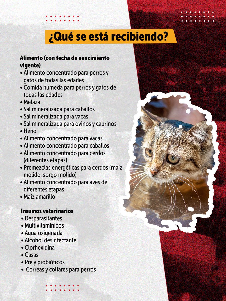 Protección Animal Bogotá tweet media