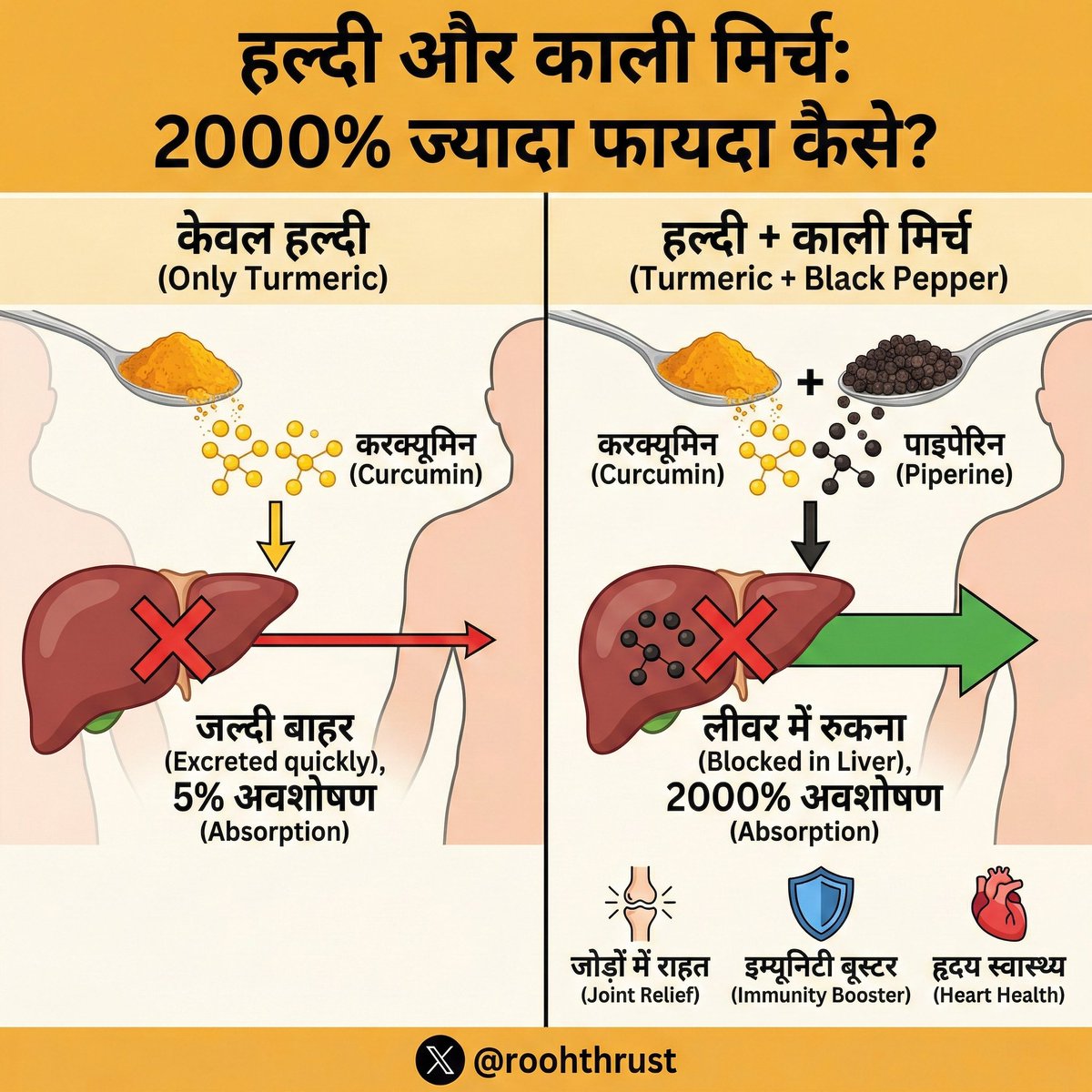 हल्दी और काली मिर्च: विज्ञान का सबसे शक्तिशाली 'गोल्डन कॉम्बो' 2000% ज्यादा फायदा और सही तरीका

क्या आप जानते हैं कि सालों से पिया जाने वाला 'हल्दी वाला दूध' या खाने में डाली गई हल्दी आपको शायद 5% फायदा भी नहीं दे रही है विज्ञान कहता है कि हल्दी अधूरी है बिना एक खास चीज के। जानिए