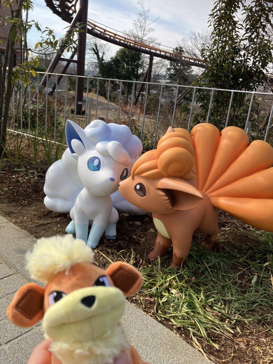 galllrrr's tweet photo. かわいすぎる https://t.co/7zZM2MBMwv
